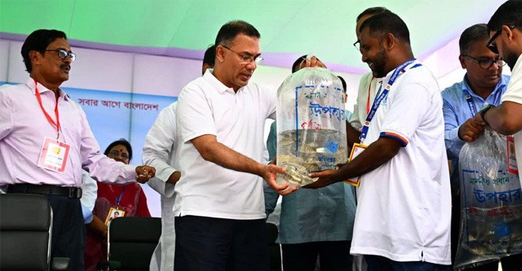 জাতীয় মৎস্য পক্ষ উদ্বোধন করলেন প্রধানমন্ত্রী তারেক রহমান